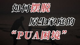 pua这个梗是什么意思